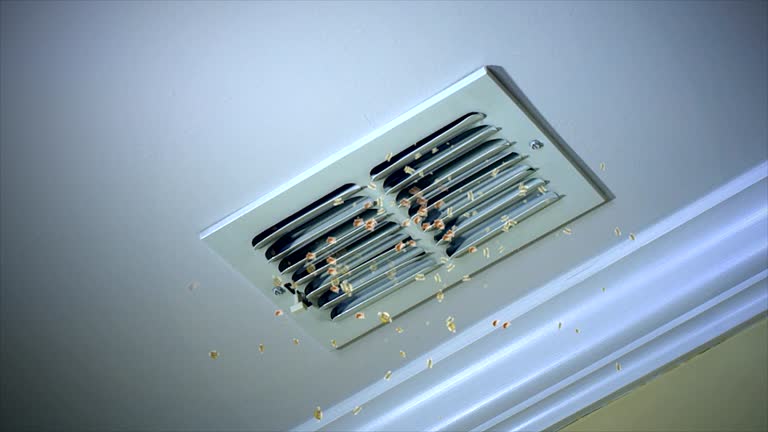 Best Residential Air Duct Cleaning  in Carroll, IA