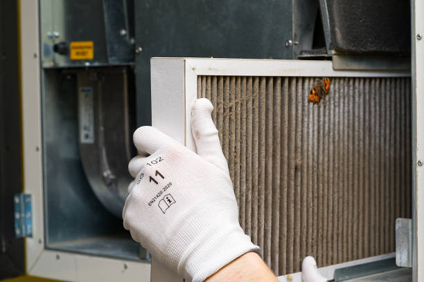 Best Emergency Air Duct Cleaning  in Carroll, IA