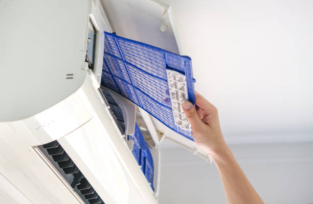 Best Home Air Vent Cleaning  in Carroll, IA
