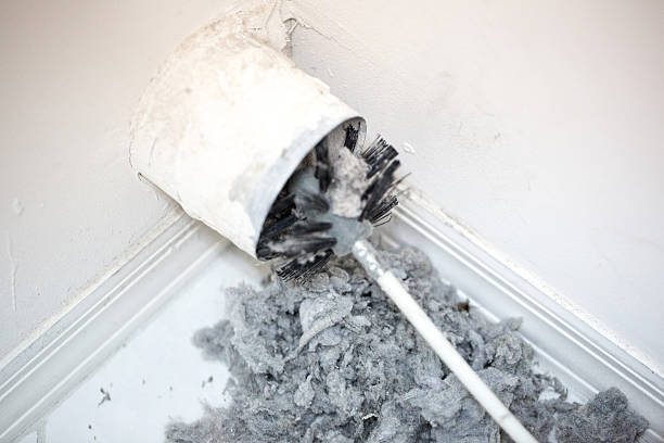 Best Air Duct Cleaning Near Me  in Carroll, IA
