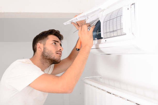 Best Air Vent Cleaning Services  in Carroll, IA